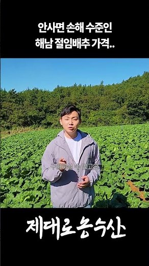 Haenam pickled cabbage 20kg price 34,900 won