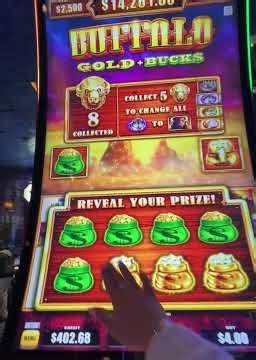 Buffalo Triple Power, Gold and Bucks feature #viral #fyp #slots #casino #gambling #tragamonedas