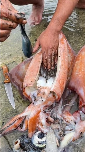 Watch Me Clean a Squid & Remove the Ink Sac | Quick Squid Cleaning