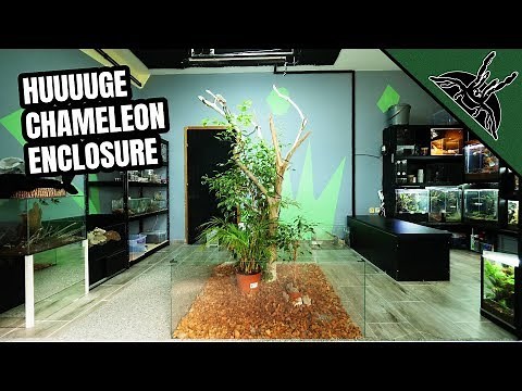 BUILDING an AWESOME central enclosure for my CHAMELEON