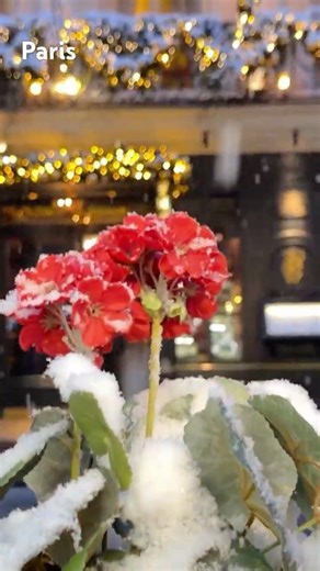 05.01 🩵 achei esse video perdido no cel 🥹