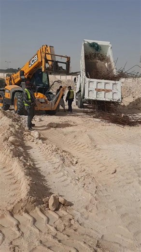 telehandler jcb | havey equipment _ shorts