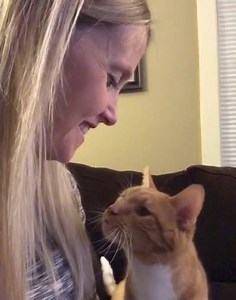 Never before shared video. A year ago today moments before I left for the hospital to bring another crazy cat baby into this world. I miss that face and the way Bailey gave me that love look in his eyes. A year went too fast I cannot believe my Claire is 1. It has almost been a year since Bailey left us. 👶🏼🐈💕. He died 9 weeks after Claire was born. Hope you are following our new kitten The Cat Named Carrot. | Bailey No Ordinary Cat
