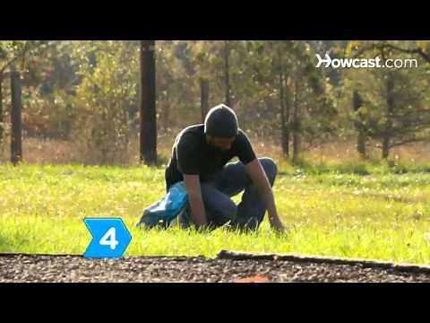 How to Get Rid of Moss