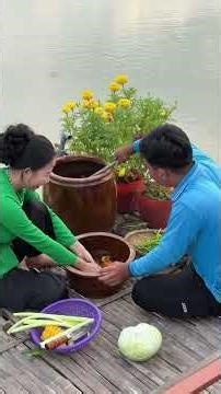 Sách Từng Thùng Nước Tưới Rau Đên Lúc Thu Hoạch Nó Sướng Gì Đâu. #lamvuon #cuocsongmientay #thuhoach