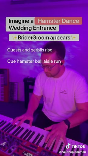 Wedding Piano Cover: Hamster Dance by James Steed