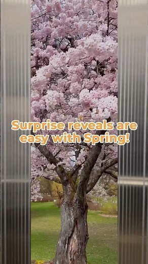 Update Spring Now and Try This Awesome Reveal Effect! #springvideoapp