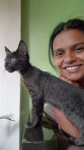 Here's the proof: My gallery is full of him! #chuchu #catshorts #viralcats #trend #viralsong #catboy