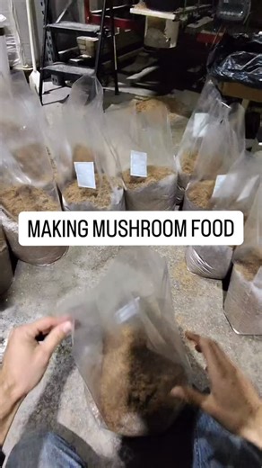 11 reactions | Making mushroom food for people all over the...