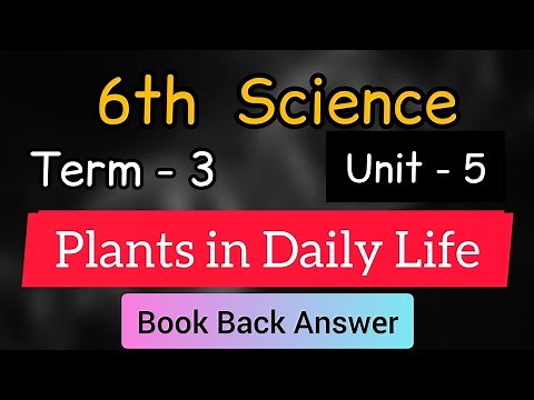 6th Science| Term 3 | Unit 5 | Plants in Daily Life | Book Back Answer | Learn The Science |
