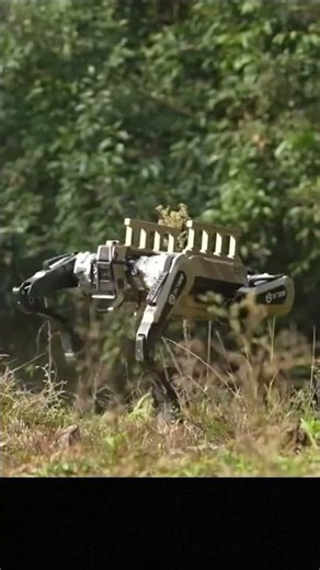 Robot Wolves Deploy in Urban Operations