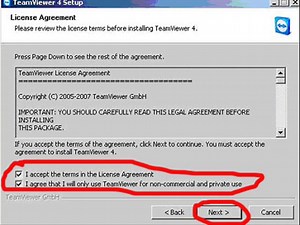 Team Viewer /Full/ install
