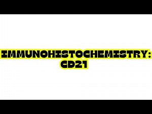 IMMUNOHISTOCHEMISTRY: CD21
