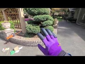 Best Claw Gardening Gloves? Tested for Planting, Digging, and Weeding!