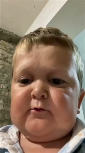 hasbulla shhhhah #shorts #story #hasbulla #khabib #islammakhachev #mma #ufc #ajjubhaiinmymatch