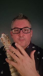 🌟 Hey Burlington! I’m Dr. Michael Schultz, and for the past 20 years, I’ve had the privilege of helping families improve their health through natural chiropractic healthcare. Whether it is for you, or your child, I offer a very thorough new patient assessment which is designed to get to the underlying root-cause of your health problem. Limited Time Offer: We are booking 35 New Patient Appointments for $75 (regularly $250). Here’s what you’ll get: ✅ In-depth Consultation ✅ Comprehensive Examinat