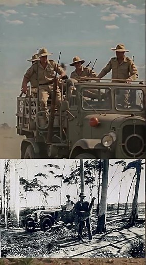 The Great Emu War