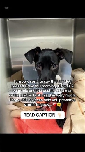 READ CAPTION 👇🏻