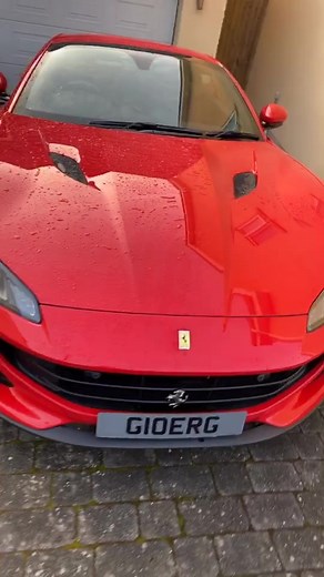 Sick of cleaning bird poo off my car! 🐦 💩