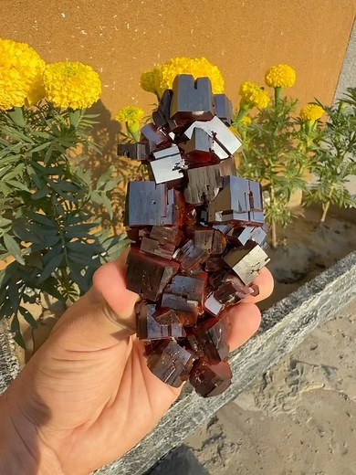 Vanadinite Atlas Mountains, Miblandin, Morocco Proud to present this incredible and sculptural specimen of Vanadinite forming a magnificent intergrown fatty crystals all together. The crystals showing vibrant dark red color with glassy luster and thick crystals. It’s so well balanced and crystallised all around with 360-degree visuals. Email: unoor37@gmail.com DM for more info ! | Noor Ullah