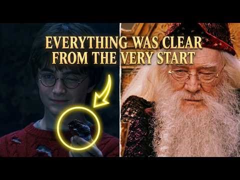 You Missed This in the First Harry Potter Movie