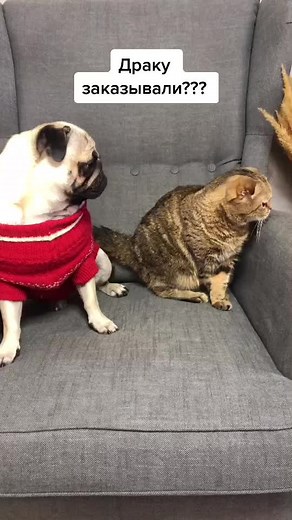 Вячеслав Немкаев on TikTok