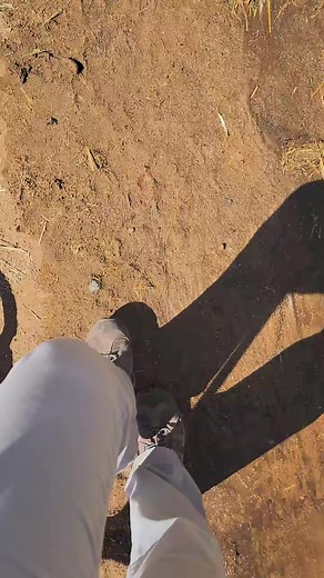 1.5K views · 81 reactions | Sup #tiger #animals #VenmoSpringBreak #cat #sup #macysownyourstyle #outofafrica #catsoftiktok #fyp | Brittney & Zion | Facebook