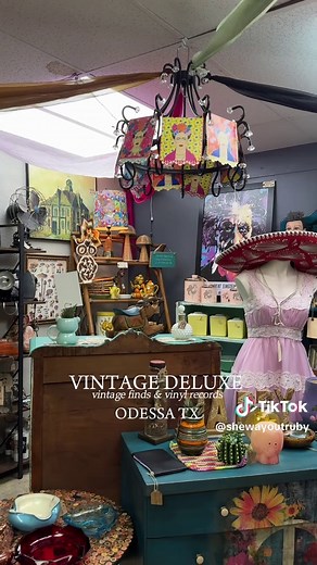 Exploring the Vinyl Section of a Vintage Store in West Texas