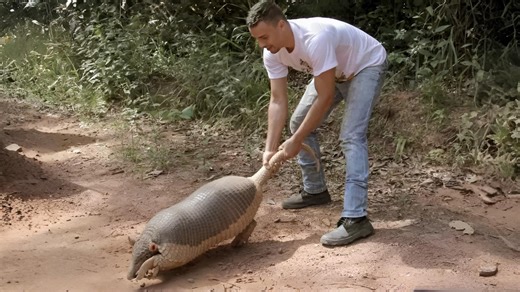 15 US animals you’re legally forbidden to touch