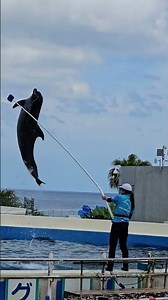 Ocean Expo Park In Okinawa