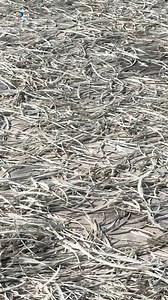 158K views · 1.2K reactions | Birds Wings Using For Making Badminton Shuttlecock #factory #skills #birds #badminton | How It Made | Facebook