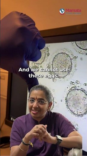 What does a human egg look like under a microscope? | Mamata Fertility Hospital: Hyderabad