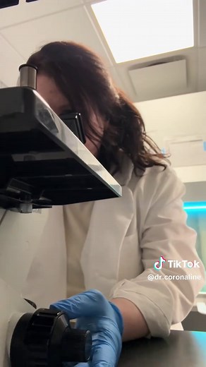 The Life of a Cell in a Research Lab Experiment