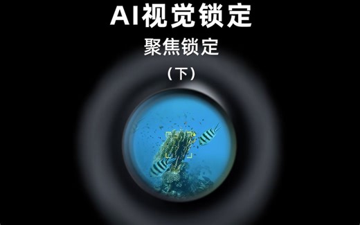 AI视觉锁定：聚焦锁定（下）| 鳍源FIFISH水下机器人