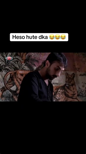 Exploring Kurdish Culture and Heritage Through Film