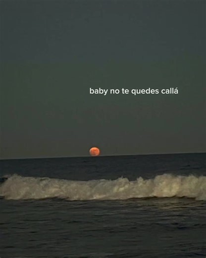 Bad Bunny - One Day | 𝑻 𝑹 𝑨 𝑷 𝑬 𝑹 𝑶 𝑺.