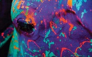 Les 15 meilleurs films brésiliens disponibles sur Netflix