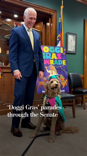Wednesday was a memorable day to be a dog on Capitol Hill. Pups paraded through the Senate in Mardi Gras costumes and beads. Never mind that Mardi Gras last week, or that dogs probably don’t know what it is. “Doggi Gras” — was for humans. https://wapo.st/3OBUbuG | Washington Post