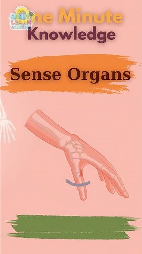 Types of Joints and Their Functions | Kids Learning #Shorts #bodyparts