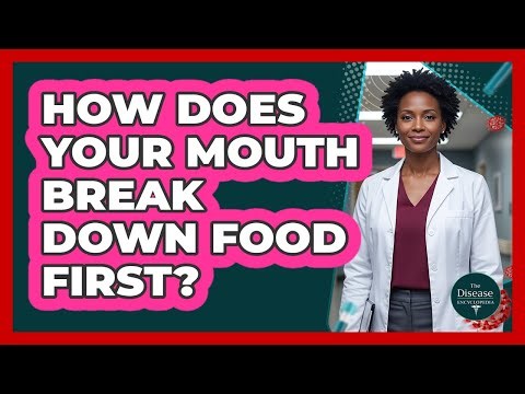 How Does Your Mouth Break Down Food First?