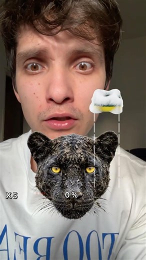 AYÚDAME a LIMPIAR a la Pantera 🐈‍⬛ #shorts