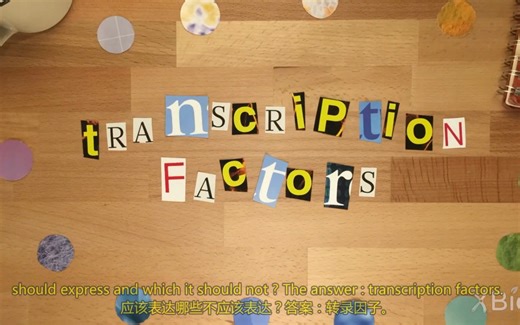 转录因子 transcription factor，是一类能结合DNA然后激活或抑制基因表达的蛋白质