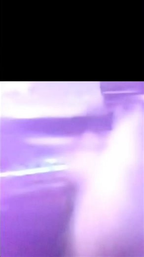 Cut cabbage and add all the ingredients. Hand mix to get juices out. Place into the form #shorts