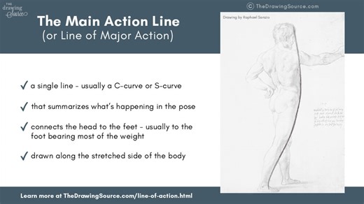 The Line of Action: An Essential First Line of a Figure Drawing