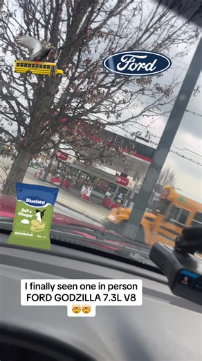 @Ford Motor Company THE REAL MAGIC SCHOOL BUS #ATLANTA #SCHOOL #BUS #GODZILLA #FORD #UNKNOWN #GEORGIA #MADEA #fordperformance #bluebird #bluebirdvision