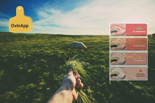 ¿Qué es el Método Famacha? y ¿Cómo se usa?