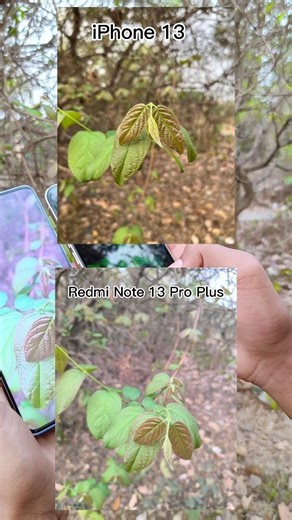 iphone 13 Vs Redmi Note 13 Pro Plus
