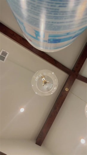 Weasel Health Update and Appreciation