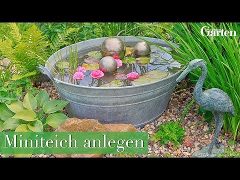Kleiner Teich, große Wirkung: So gestaltest du deinen eigenen Miniteich für den Außenbereich