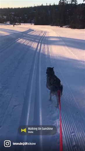 busdriver65 (@busdriver65)’s videos with original sound - busdriver65